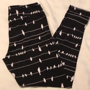 TC lularoe leggings